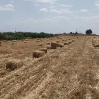 پرس کلش گندم