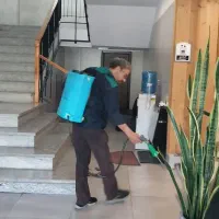 ساس سوسک ....سمپاشی زیر نظر دکترای تخصصی