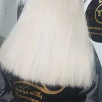 سالن اقتصادی