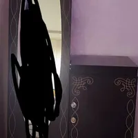 جاکفشی