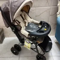 کالسکه دلیجان نونونو