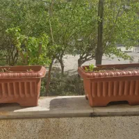 گلدون  پلاستیک فشرده