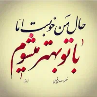 کسب درآمد با ملی گلد و میلی گلد