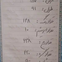 تابلو فرش|تابلو فرش|تبریز, |دیوار