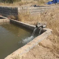 باغ ویلا