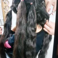 کوتاهی رایگان