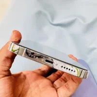 13pro maxعتیقه خشک خشک|موبایل|ایرانشهر, |دیوار