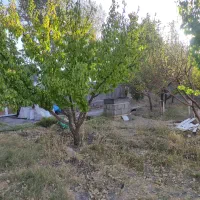 باغ جاده فرودگاه 3کیلومتری شهر|فروش دفتر صنعتی، کشاورزی، تجاری|زنجان, |دیوار