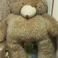 عروسک خرس دومتری غول