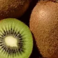 خرید کیوی نقدی با قیمت مناسب|خدمات باغبانی و درختکاری|تالش, هشتپر|دیوار