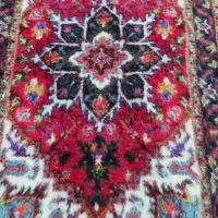 قالی|فرش|خواجه, |دیوار