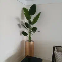 درخچه های مصنوعی وارداتی|گل مصنوعی|فردیس, قریشی|دیوار