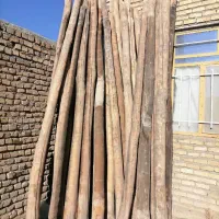 خرید کنده درخت و چوب سقفی