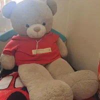 خرس بزرگ ۲متری