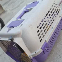 باکس حیوان