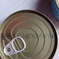 تن ماهی|خوردنی و آشامیدنی|رشت, پارک شهر|دیوار