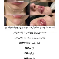 مدل برای انزیم رایگان و ژل لب 400