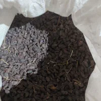 کشمش مویز