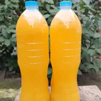 ابنارنج خالص خالص