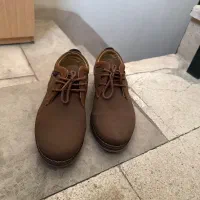 کفش مجلسی مردانه|کیف، کفش، کمربند|شیراز, تاچارا|دیوار