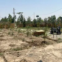 فروش زمین ۵۶۵ متری|فروش زمین و ملک کلنگی|اسلام‌شهر, کاشانک|دیوار