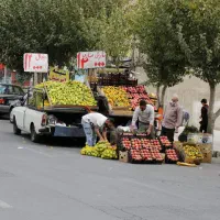 راهنمایی  کنید