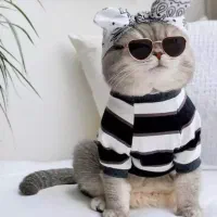 لباس سگ و گربه صد و هشتاد هزار تک و عمده