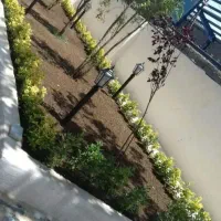 باغبانی سمپاشی تیلرزنی تعویض گلدان هرس کاری گلکاری|خدمات باغبانی و درختکاری|مشهد, وکیلآباد|دیوار