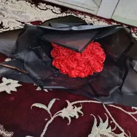 گل شاد خوشگل