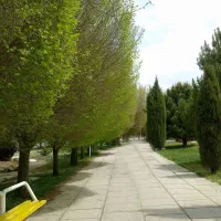مسافرت یک روزه