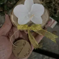 گیفت جشن عقد و عروسی وتولد و...|صنایع دستی و سایر لوازم تزئینی|رشت, رودبارتان|دیوار