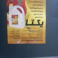 جرمگیر معجزه گر