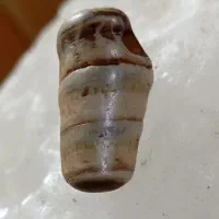 سنگ و انگشترهای کهنه وعتیقه کارا تک وکلکسیونی