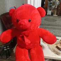 خرس تدی .جنس درجه یک خارجی