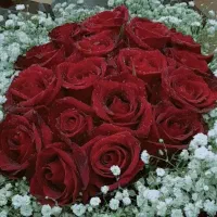 گل برای ولنتاین|گل مصنوعی|شهرکرد, |دیوار