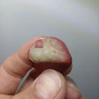 سنگ الماس مشکوک به شهاب