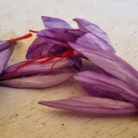 خرید و فروش کلی و جزیی