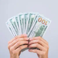 درآمد بالا آنلاین و مادام‌العمر