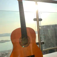 گیتار ژاپنی violet cg851