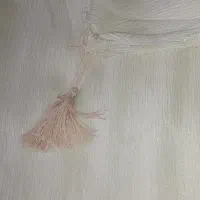 شال شاین