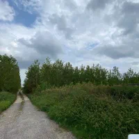 فروشِ فوریِ مرغداریِ گوشتی در صومعه سرا|فروش دفتر صنعتی، کشاورزی، تجاری|صومعه‌سرا, |دیوار