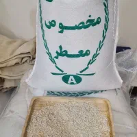 برنج معطر تالش ـ محصول امسالی|عمدهفروشی|تهران, فاطمی|دیوار