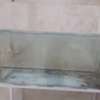 آکواریوم بزرگ با چهار پایه|ماهی|خمینیشهر, |دیوار