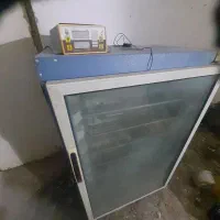 دستگاه جوجه کشی بلدرچین چین دماوند ۵۸۸ تایی|لوازم جانبی حیوانات|گرگان, |دیوار