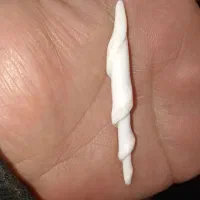 مهره دریایی