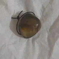 تک مهره سلیمانی مصور