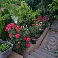 فروش مسکونی قلات کلستان کودیان ابپرده