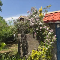 خانه ویلایی ۶۰۰ متری تک برگ سند