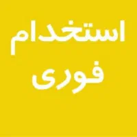 راننده / سرپرست فروش