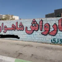 نیروی کارجهت کاردر کارواش